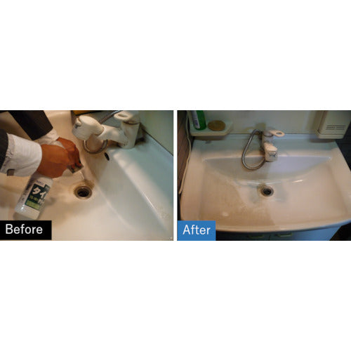 ビアンコ タイルクリーナー(300g) TS-101 1 本