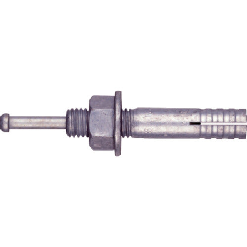 サンコー テクノ オールアンカーCーDタイプ 溶融亜鉛めっき ミリねじ M20 C-2019D 10 本