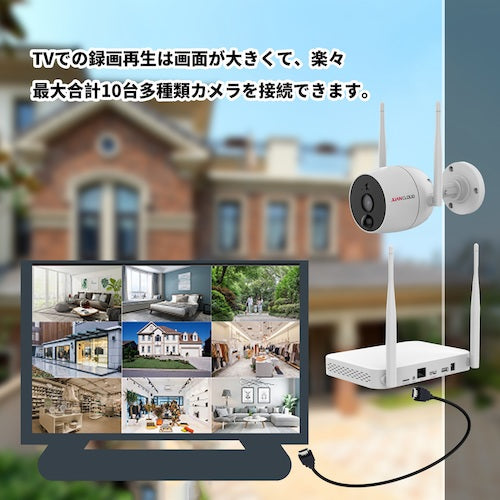 ELPA ネットワークカメラレコーダーセット JA-K6510-PO1031-W 1 箱