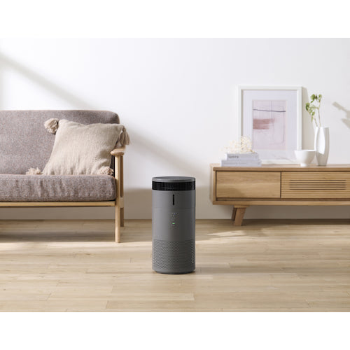 IRIS 297749 加湿空気清浄機 10畳 AAP-SH20A-H 1 台