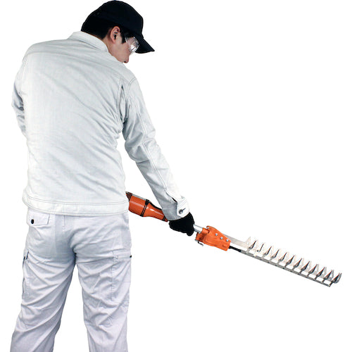 Nishigaki Tamaru Varican 1.1M N-960 1 대