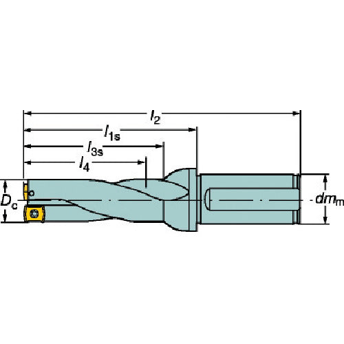 샌드빅 날끝 교환식 드릴 콜로 드릴 881 원통 생크(465) 881-D1800L25-03 1개