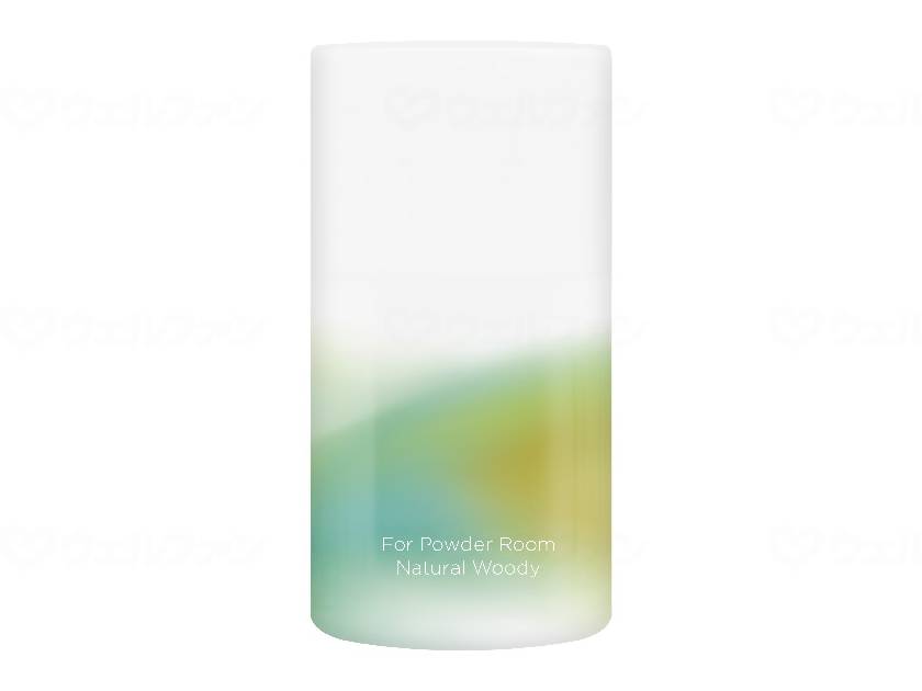 S.T. Deodorizer Commercial Liquid Type for Toilets 400ml Case Natural Woody