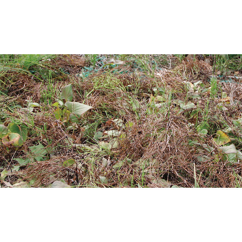 IRIS 103096 Fast-acting herbicide 2L SJS-2LR 1 bottle