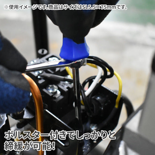 アストロプロダクツ AP 貫通マイナスドライバーボルスター付SL6.5×100mm 2002000035882 1 本