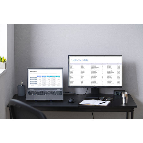 IRIS 104727 액정 디스플레이 피벗 모델 DT-EF233P-B 1대