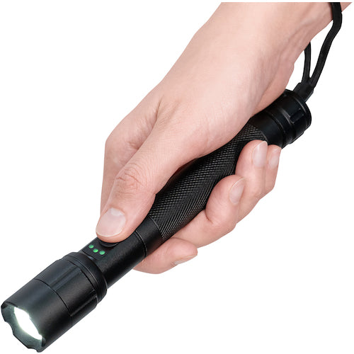 ELPA LEDアルミライト DOP-EP520 1 PK