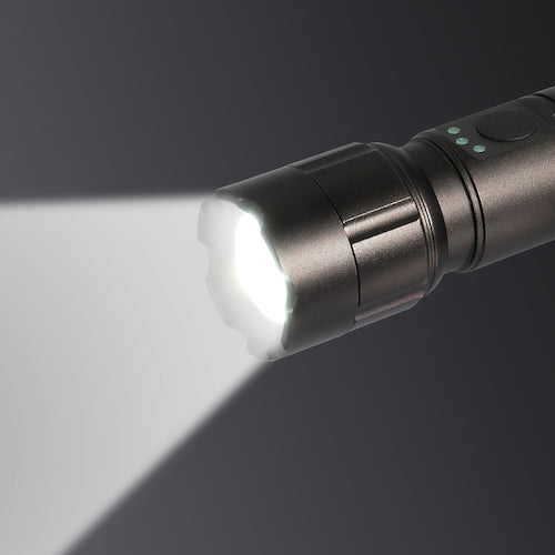 ELPA LED Aluminum Light DOP-EP560 1 PK