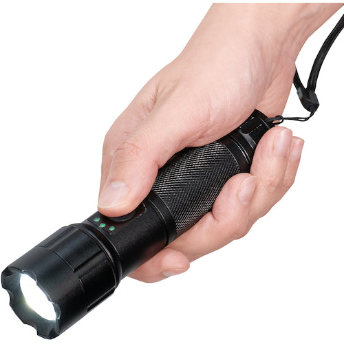 ELPA LEDアルミライト DOP-EP540 1 PK