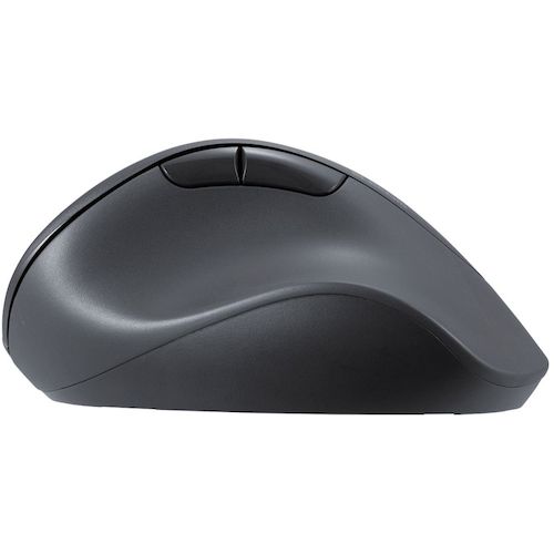 エレコム マウス EX−G 右手専用 Lサイズ 無線2.4GHz 5ボタン 抗菌 静音設計 ブラック M-XGL30DBSKBK 1 個