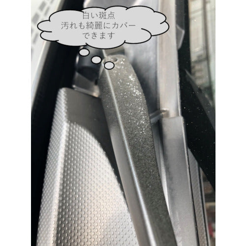 ビアンコ ビアンコート 車の樹脂パーツ復元ガラスコーティング(ブラック)100ml BC-101CR-V 1 本