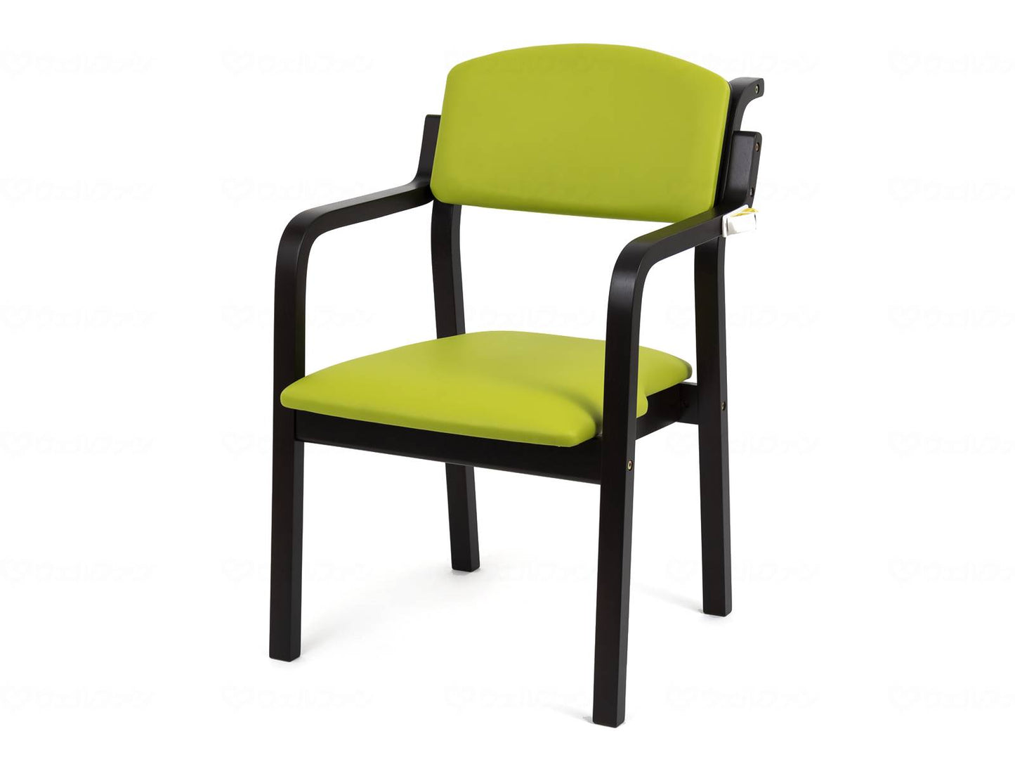 Office Lab Econo Chair Woody Anti-Virus Coating Dark Frame/Green