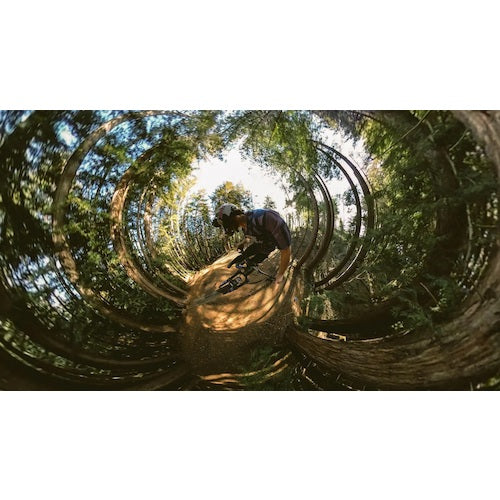 GoPro BOOM+바 마운트 AEXTM-011 1개