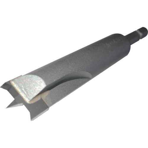 大見 FRP樹脂ビット FB110 φ11 FB110 1 本