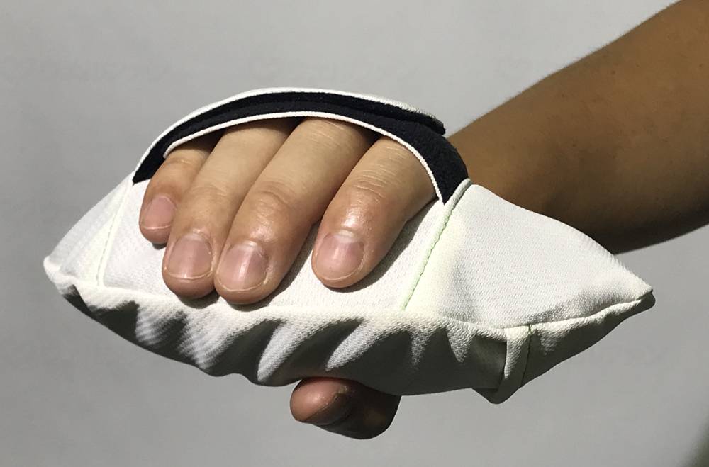 하이빅스 쿠라리아