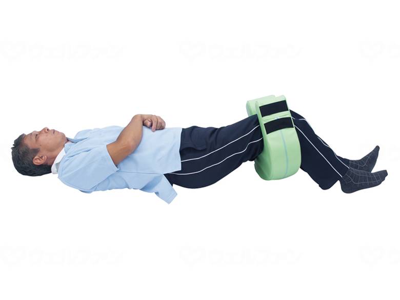 Takada Bed Manufacturing Co., Ltd. (Takada Bed) Position Rotation Pillow Mediblue