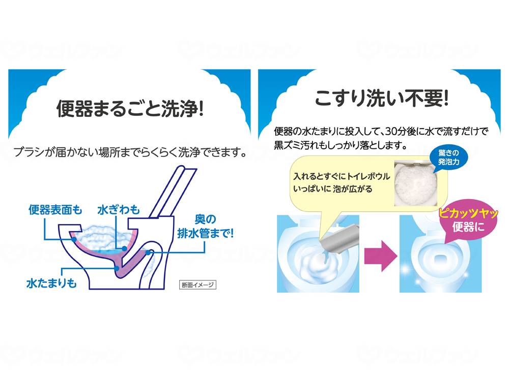 Earth Pharmaceutical Rakuhapi Just Add Bubble Toilet Bowl Case 180g