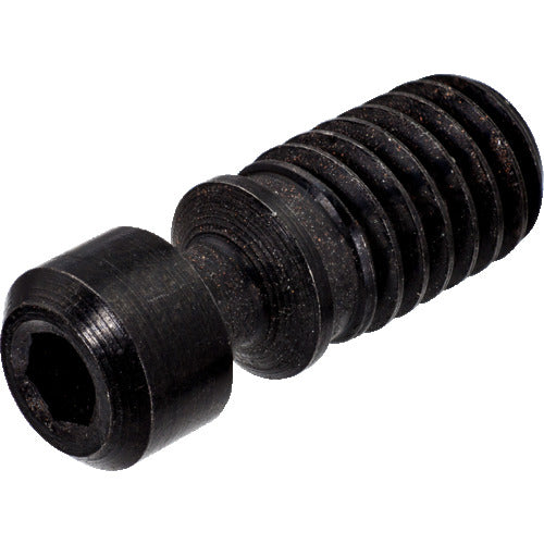 Sandvik Screw (810) 174.3-830 1 piece