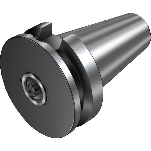 Sandvik Screw (810) 5516 010-01 1 piece