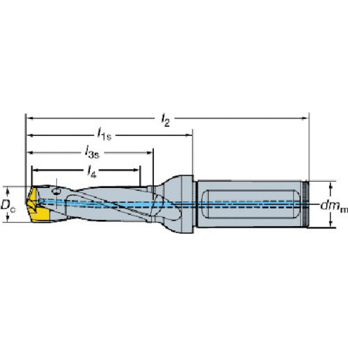 Sandvik CoroDrill 870 Exchangeable Head Drill (446) 870-1900-19L25-5 1 piece