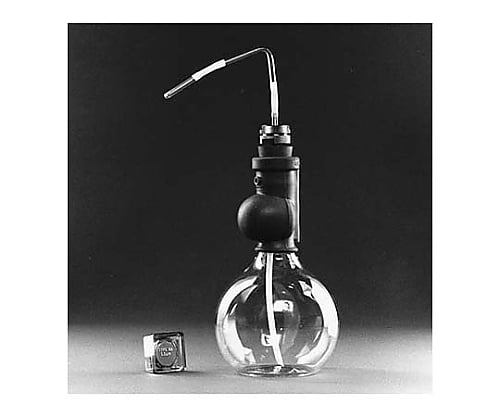 Filter Holder supt screen SS 1/Pk 1PK XX3002510 1 piece