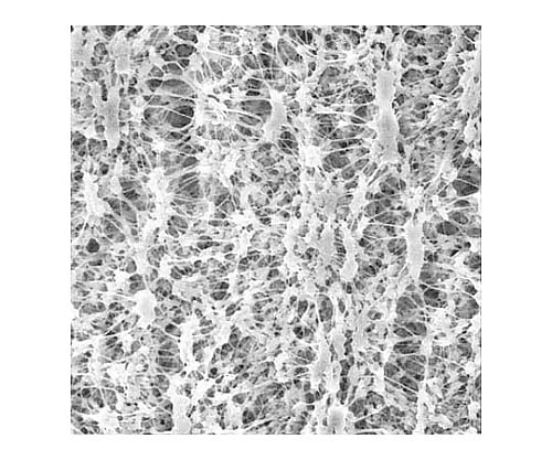 Omnipore disc PTFE philic 0.1μm 47mm wh pln 100/Pk 100PK JVWP04700 1 box (100 pieces)