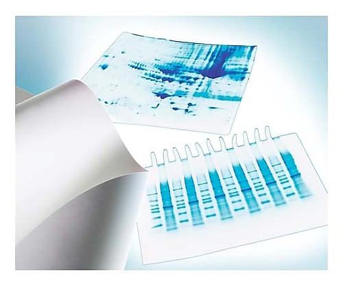 Immobilon-P PVDF 0.45μm 26.5cmx3.75m roll 1/Pk 1PK IPVH00010 1 piece