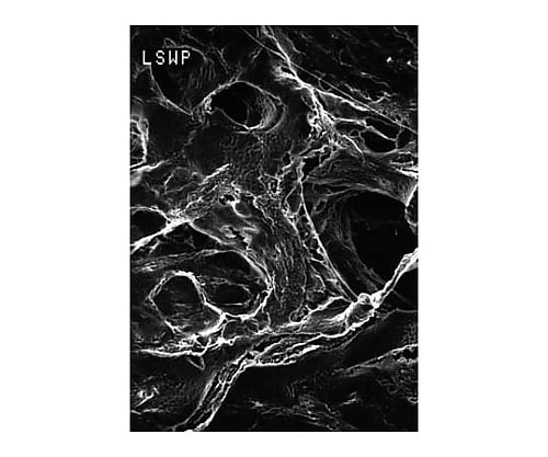 Mitex disc PTFE hydrophobic 10μm 47mm wh pln 100/Pk 100PK LCWP04700 1 box (100 pieces)