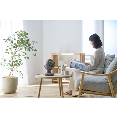 IRIS 299176 Circulator Eye DC Silent Gray PCF-SDS15T-EC-H 1 unit