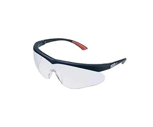 Protective glasses, spectacle shape/clear lens, 1 box (10 pieces) EE-11 1 box (10 pieces)