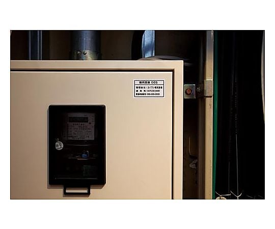 強粘着 紙ラベル 兼用 A4 ノーカット 100枚 28416 1冊(100枚入)