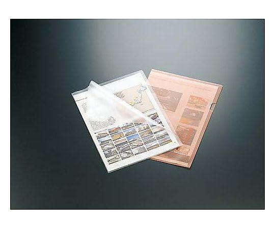 클리어 홀더(이코노미) A4 투명 10장 F-780 1팩(10장입)