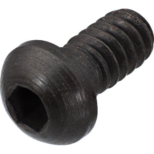 Sandvik Hexagonal Screw (810) 170.5-865 1 piece