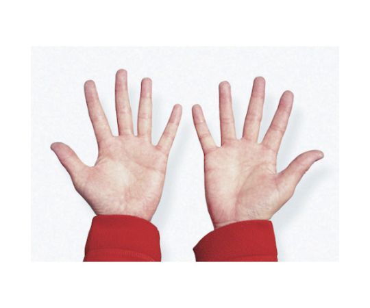 ハンドソープ ニュー シトラスクリーン ハンドクリーナー 1.9L NO2283 1本