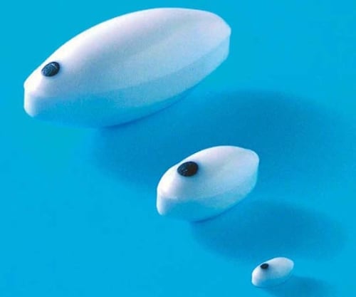 Strong magnetic stirrer oval type FMH-1625 25*12 F-4099-004 1 piece