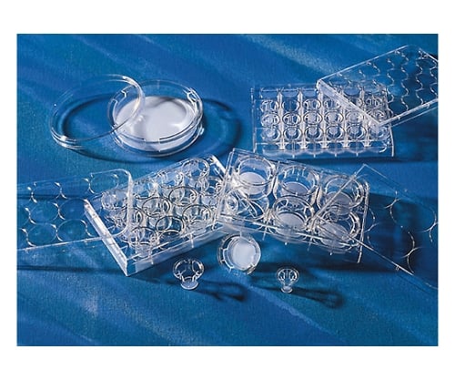 Transwell 12 well 0.4μm cell culture surface treated 1 case (12 pieces x 4 packs) 3401 1 case (12 pieces x 4 packs)