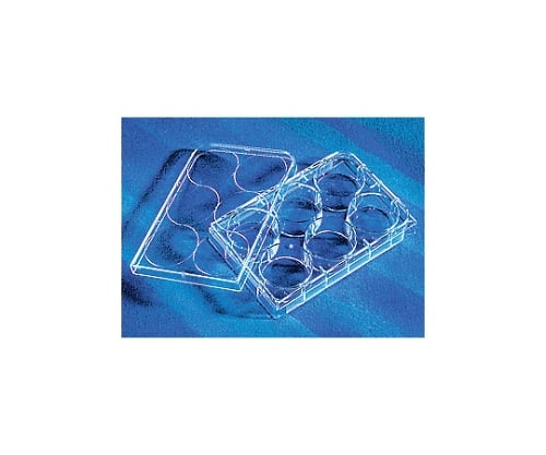 Multiple well plate 6 well flat bottom with lid (5 pieces/pack) 3506 1 case (5 pieces x 20 packs)