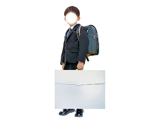 신작품 수납 케이스 대백 무지 11141 1상자
