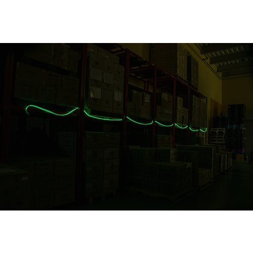 GENTOS Ganz テープライト 10m 両面発光 アダプター付き GZS-10MB-A 1 個