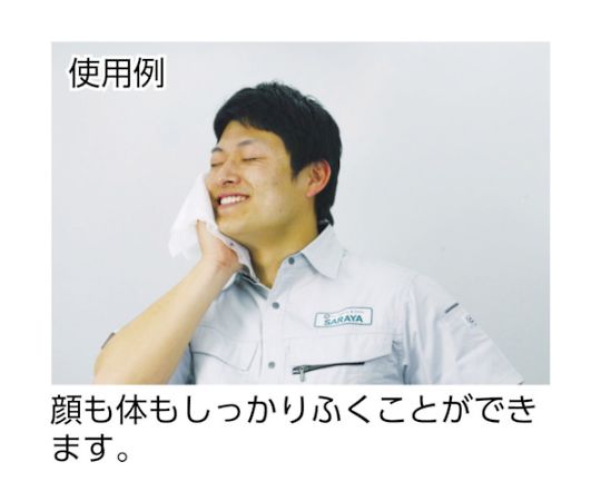 クールリフレ やさしいクールシート70枚 本体 42414 1ケース(70枚入)