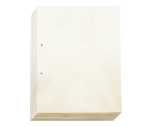 Transparent pocket A4 vertical type 103-100 1 book