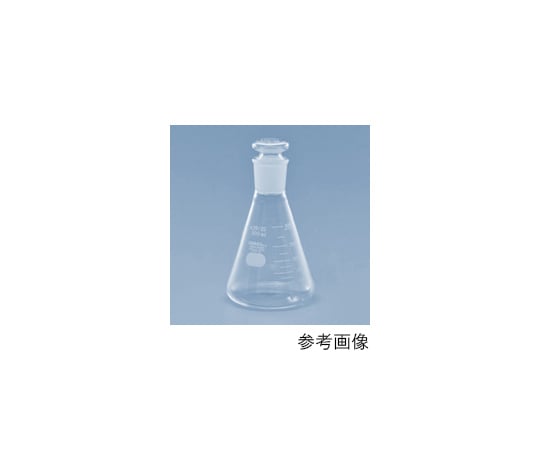 共通摺合せ共栓三角フラスコ(中形栓付) 200mL 5021FK200-29 1個
