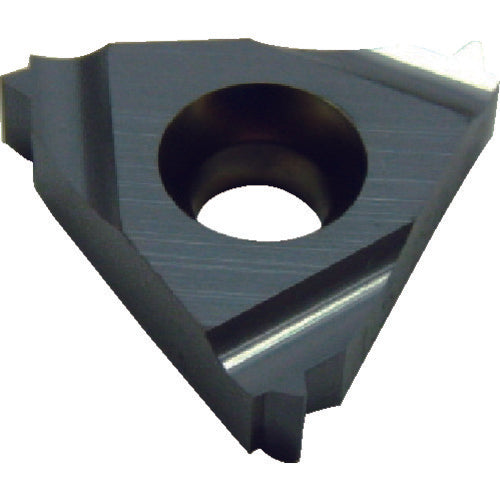 이스컬 60° 나사 칩 IR/L-60° IC228 08IR A 60 5개