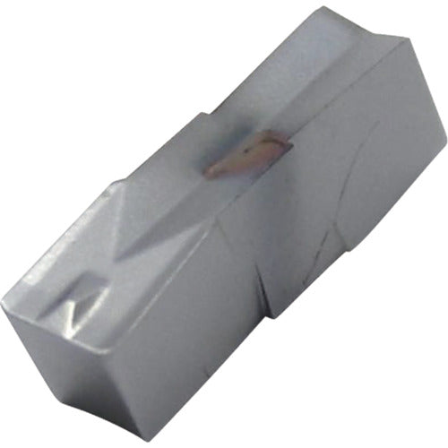 이스컬 컷 그립 칩 GIP-E IC808 GIP 3.00E-0.20 10 개