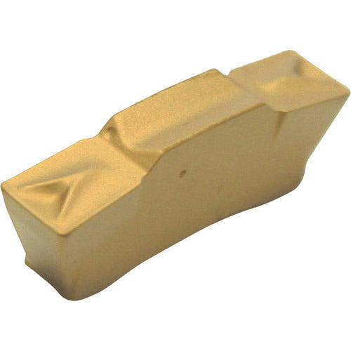 이스컬 탑 그립 칩 TGMF/P IC808 TGMF 304 10개