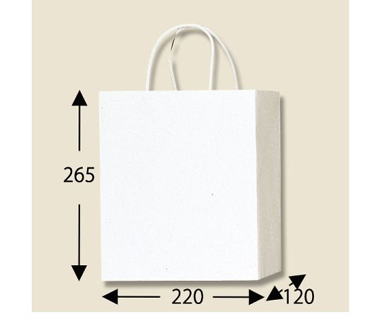 HEIKO Paper Bag PB Smooth M-1 White 10 pieces 003136201 1 pack (10 pieces)
