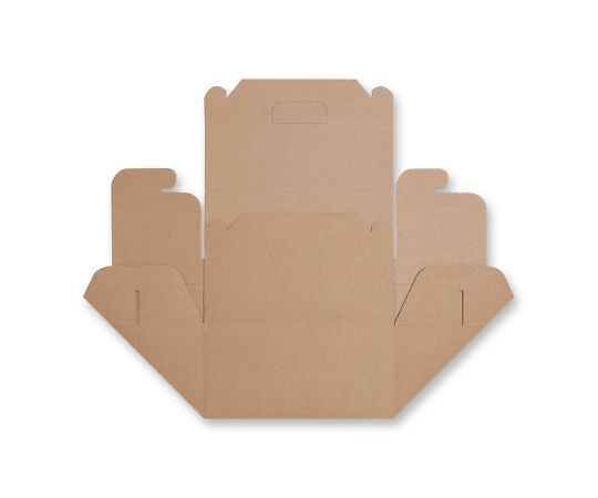 HEIKO 食品容器 ネオクラフトボックス キャリーボックス L 20枚 004248013 1パック(20枚入)