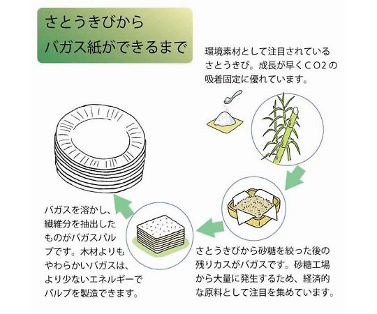 食品容器 業務用バガスペーパーウェア カレー皿 NCP230 50枚 004477050 1パック(50枚入)