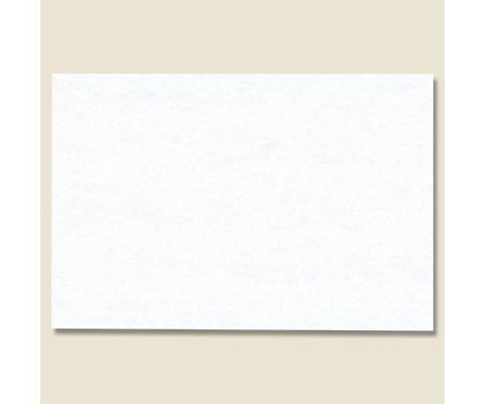 일본식 테이블 매트 백도 100장 004660299 1팩(100장입)