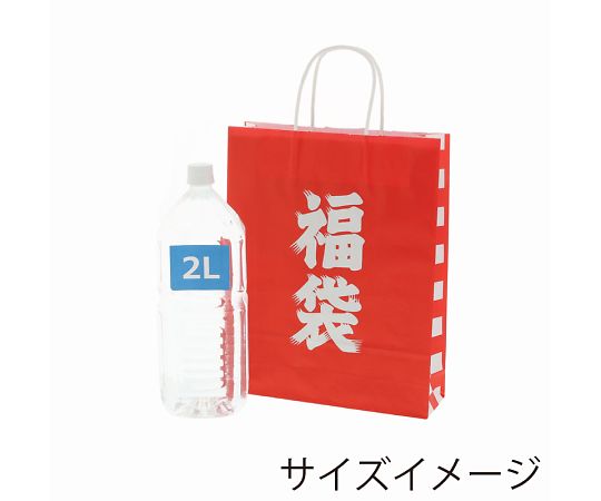 HEIKO 紙袋 福袋 25チャームバッグ 25CB MS1 福袋 50枚 003276140 1パック(50枚入)